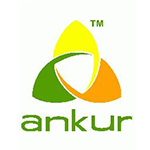 Ankur logo